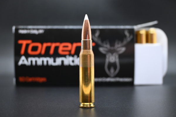 308 Win Ammo (308 Win Ammo) 180 Gr Nosler Accubond Ammo